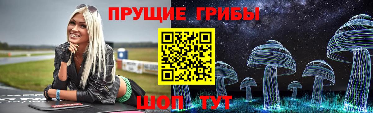 закладка  Вход с VPN  Волгодонск  Псилоцибиновые грибы прущие грибы  Галлюциногенные грибы мицелий 