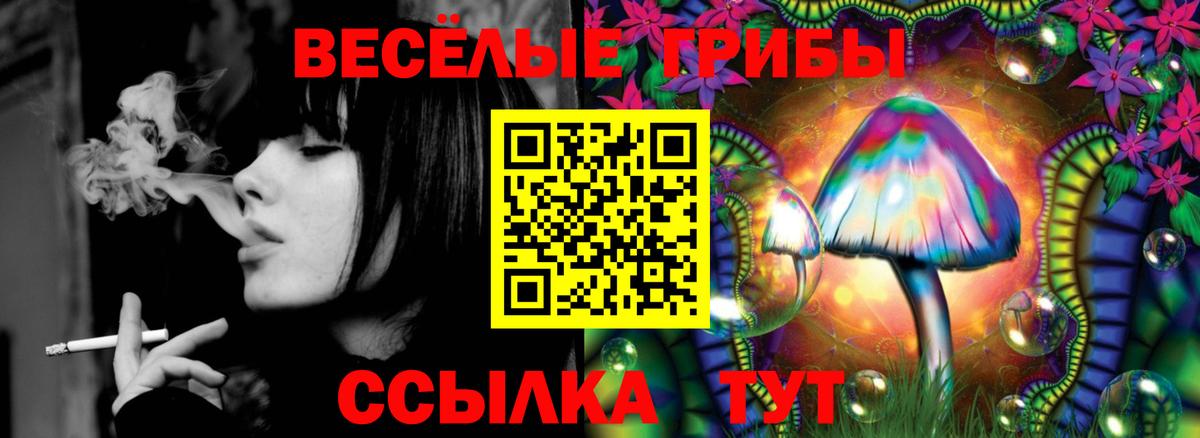 Псилоцибиновые грибы прущие грибы  Галлюциногенные грибы прущие грибы  где купить   Волгодонск 