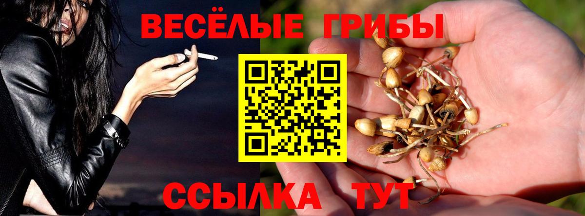Псилоцибиновые грибы ЛСД Волгодонск